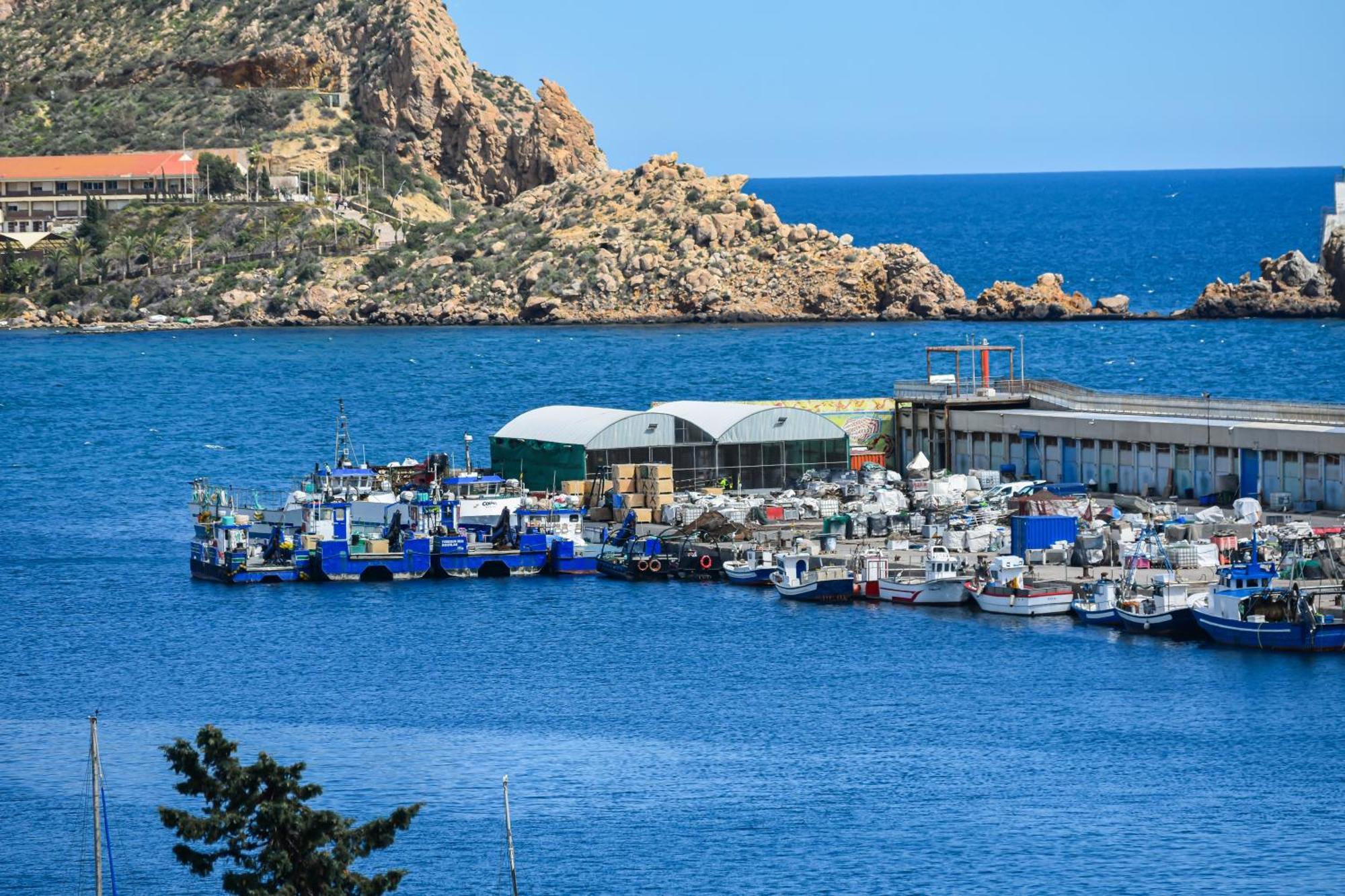 Dream View Aguilas - By Aloha Palma Екстер'єр фото